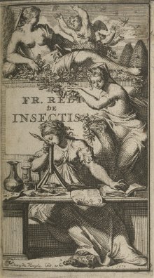 Opusculorum pars prior, sive, Experimenta circa generationem insectorum [Experiments on the generation of insects] (Amsterdam, 1685). Francesco Redi.