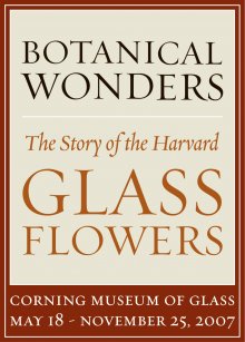 Botanical Wonders: The Story of the Harvard Glass Flowers