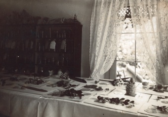 Figure 10. Models of glass flowers in the Blaschkas’ studio before they were shipped to the Harvard Botanical Museum. Probably photographed by Rudolf Blaschka. Photo dated October 1891. Rakow Research Library, Bib ID 95860 