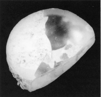 Fig. 2: Circular glass, convex upper surface, ground-flat base. CMG 3751; Pb-I 144. Apparent D. ≃ 1.5 cm.