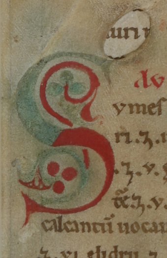 Fig. 4: Detail of the "S" in the Mappae clavicula.