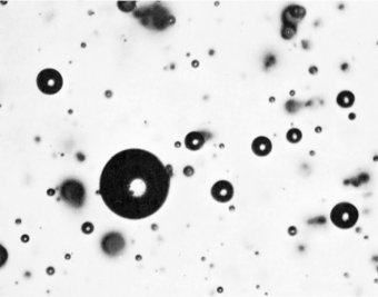 Fig. 8: Completely spherical bubbles in sample from same object as Fig. 6, after heating for one hour at 750 C. (Viscosity approximately 10 degrees.) Magnification approximately 50 X.