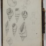 [Small brown sketchbook], 1882 / F. Carder.